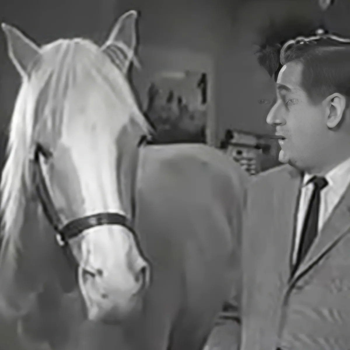 Mr. Ed and Wilbur