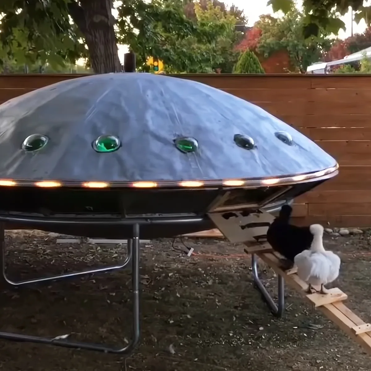 A large, dome-shaped object with green lights and a black base sits on a stand, with two birds perched nearby.
