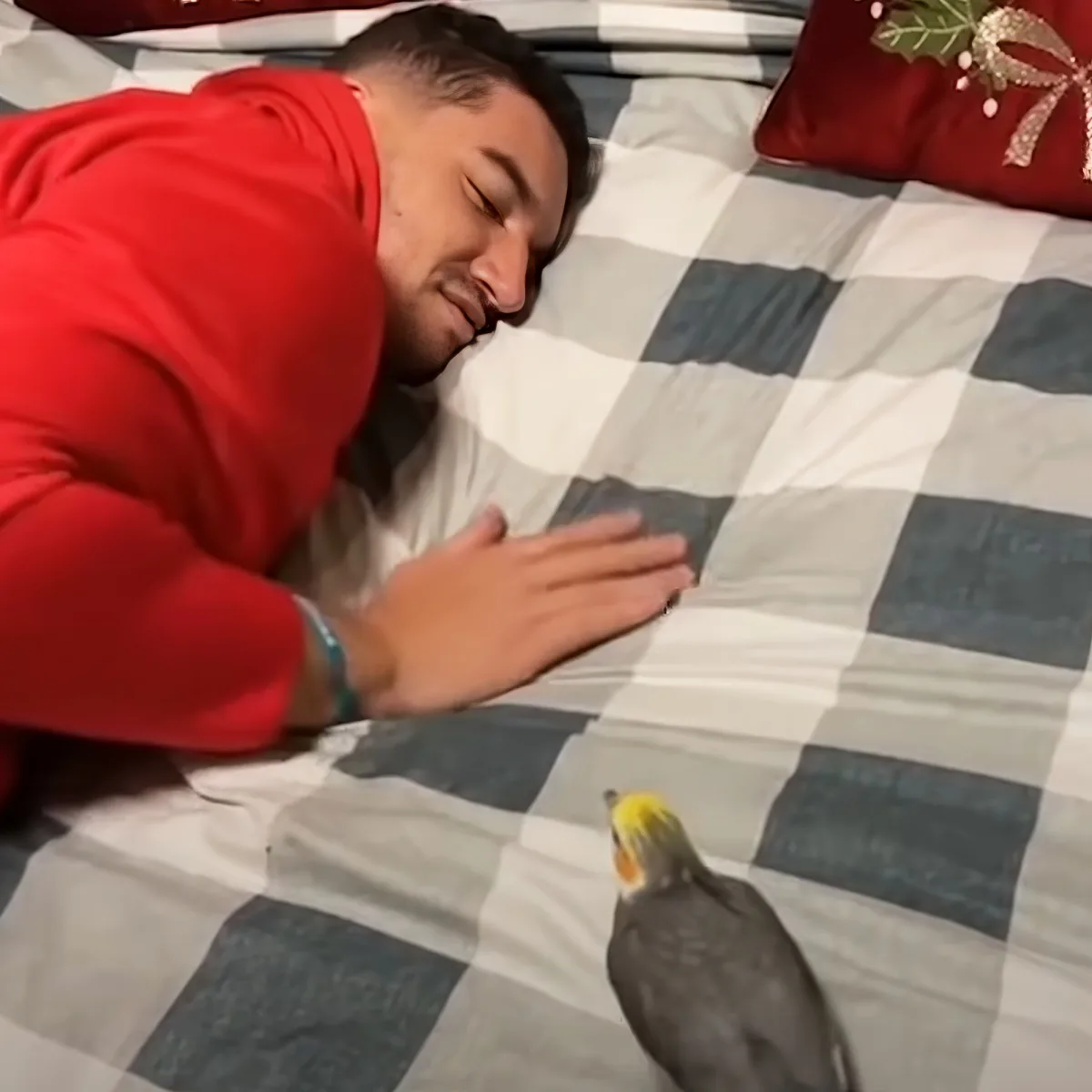 Adorable bird and man