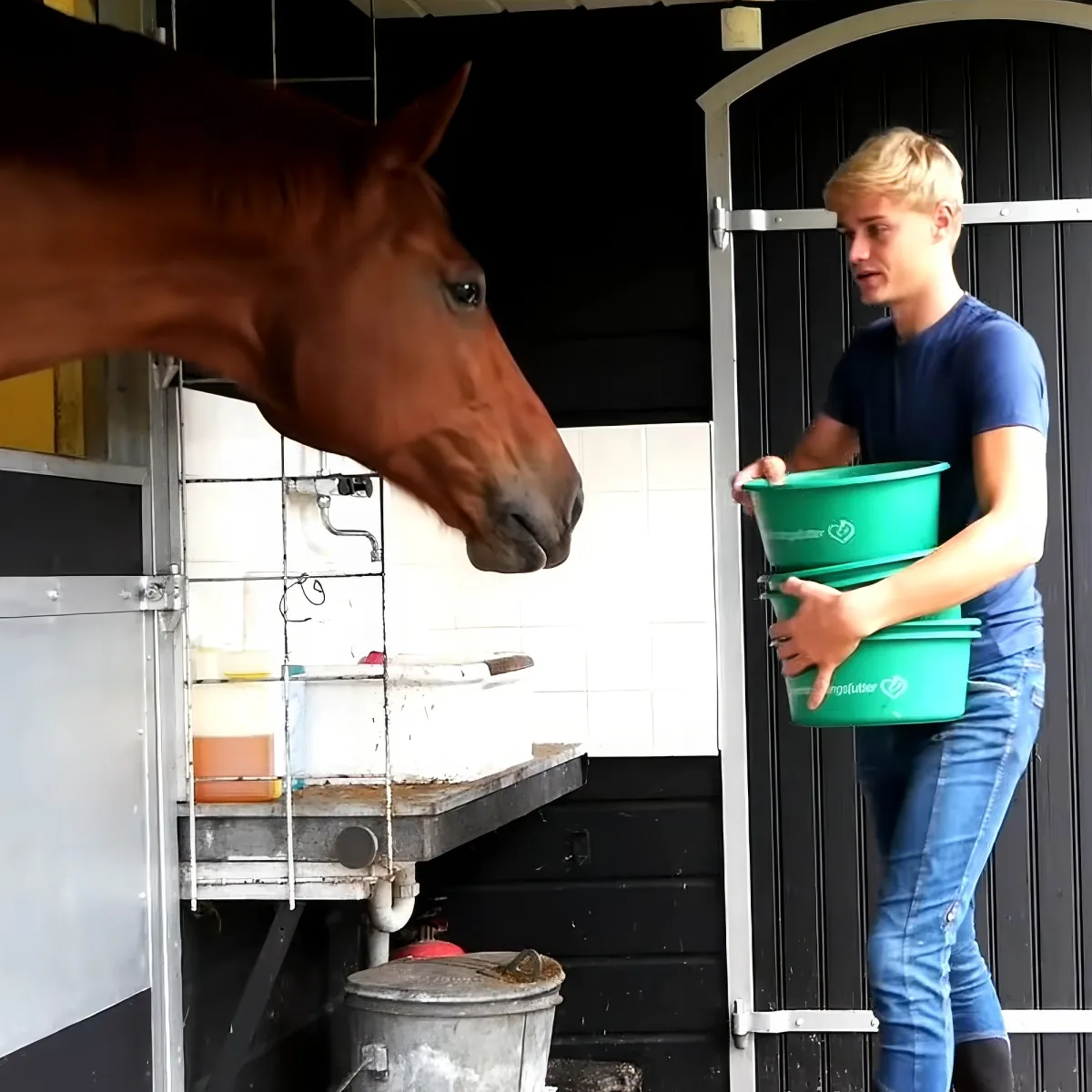 Horse trainer with his horses