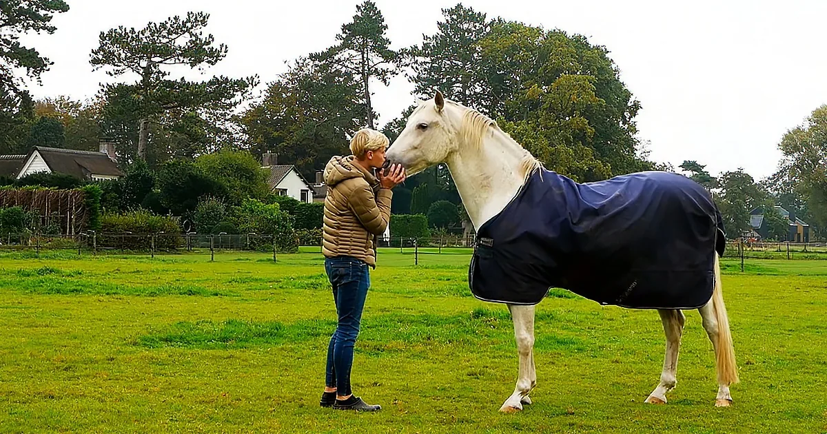 Horse Trainer Spends Quality Time With His Horses in Heartwarming Video