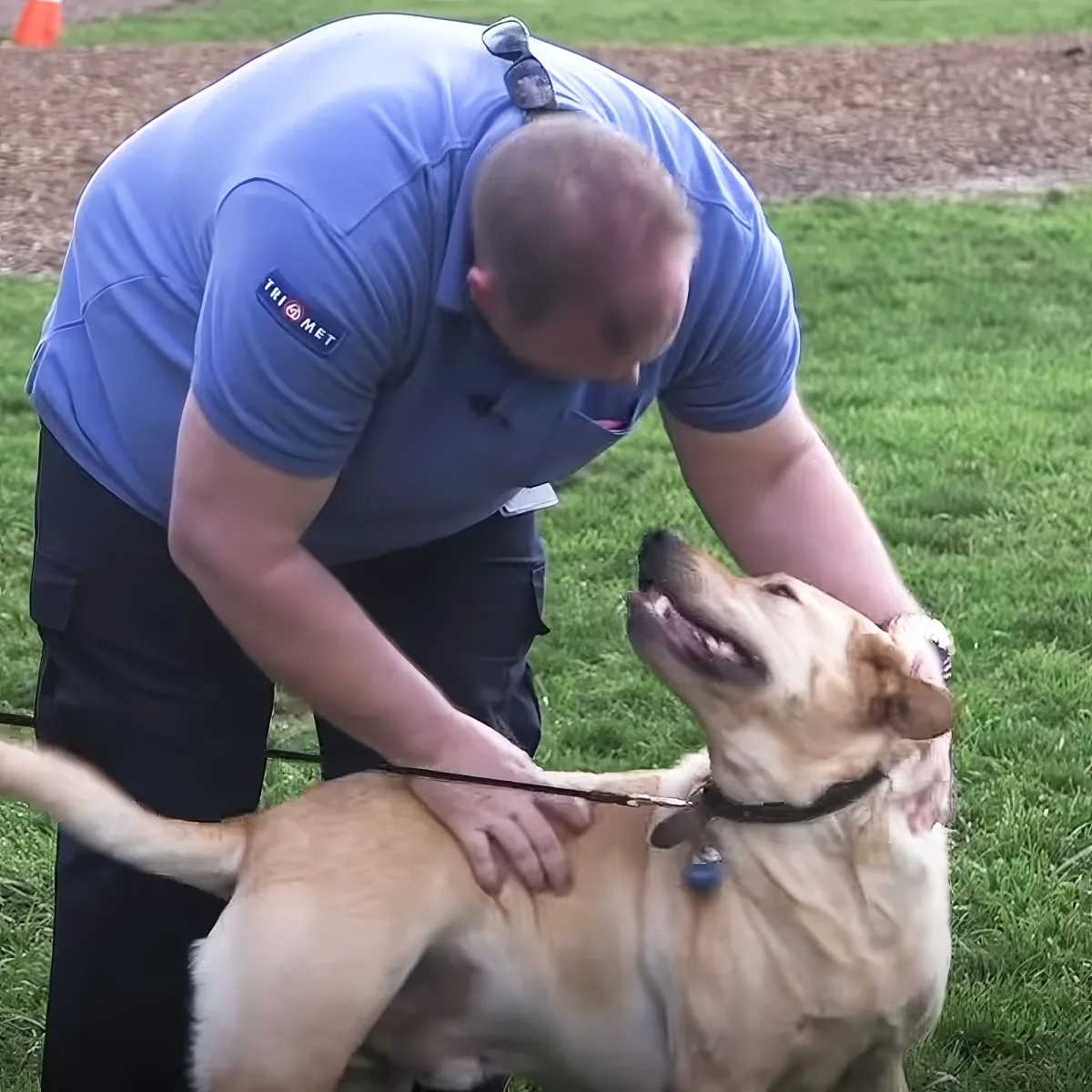 Bus driver saved dog
