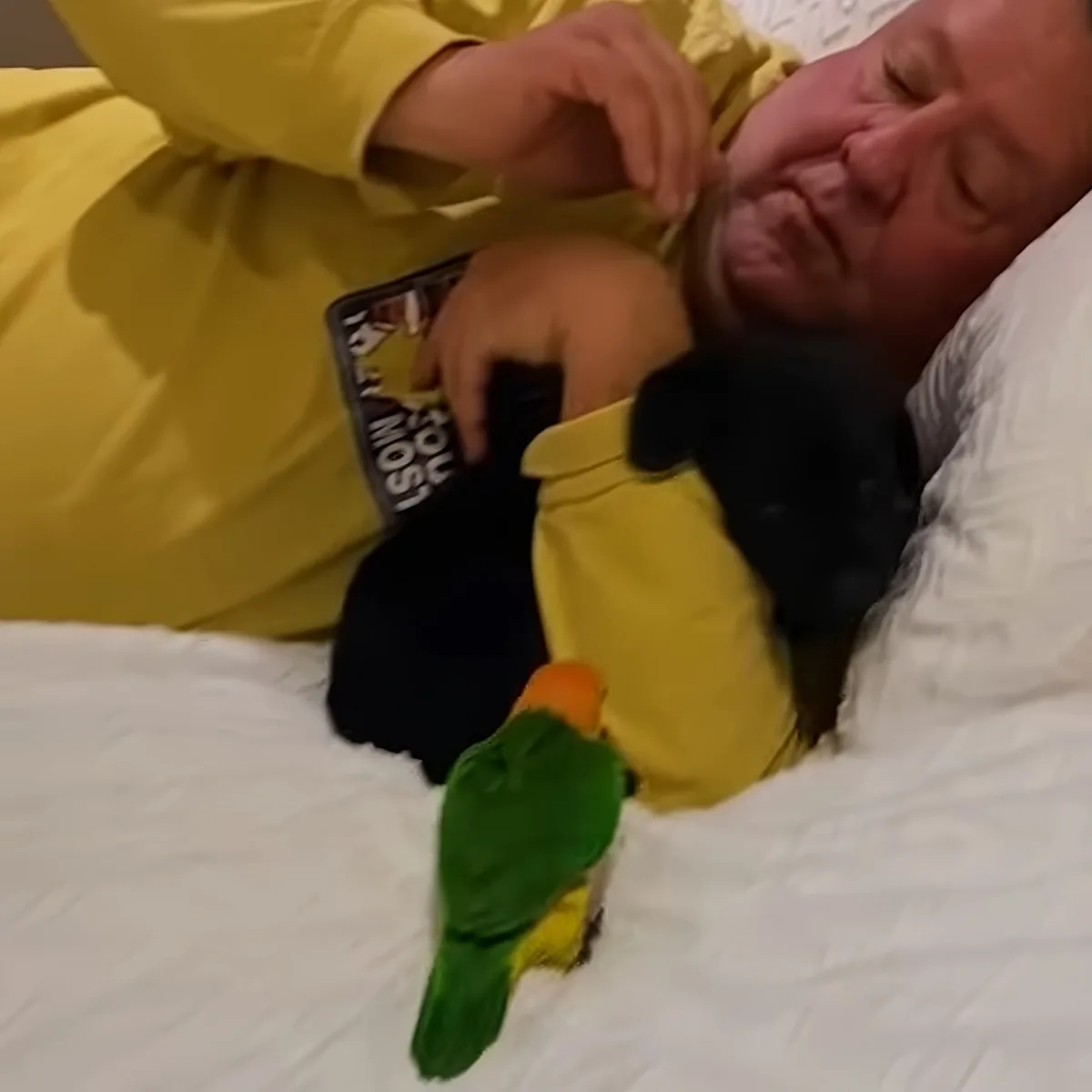 A person in yellow loungewear is lying on a bed, holding a black cat while a green and yellow parrot perches nearby.