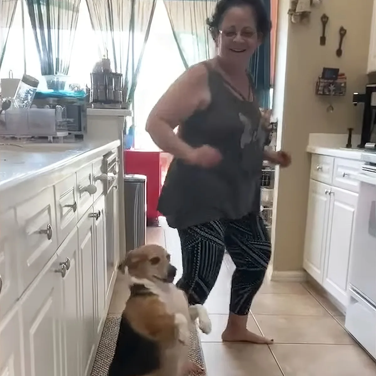 Beagle dancing with grandma