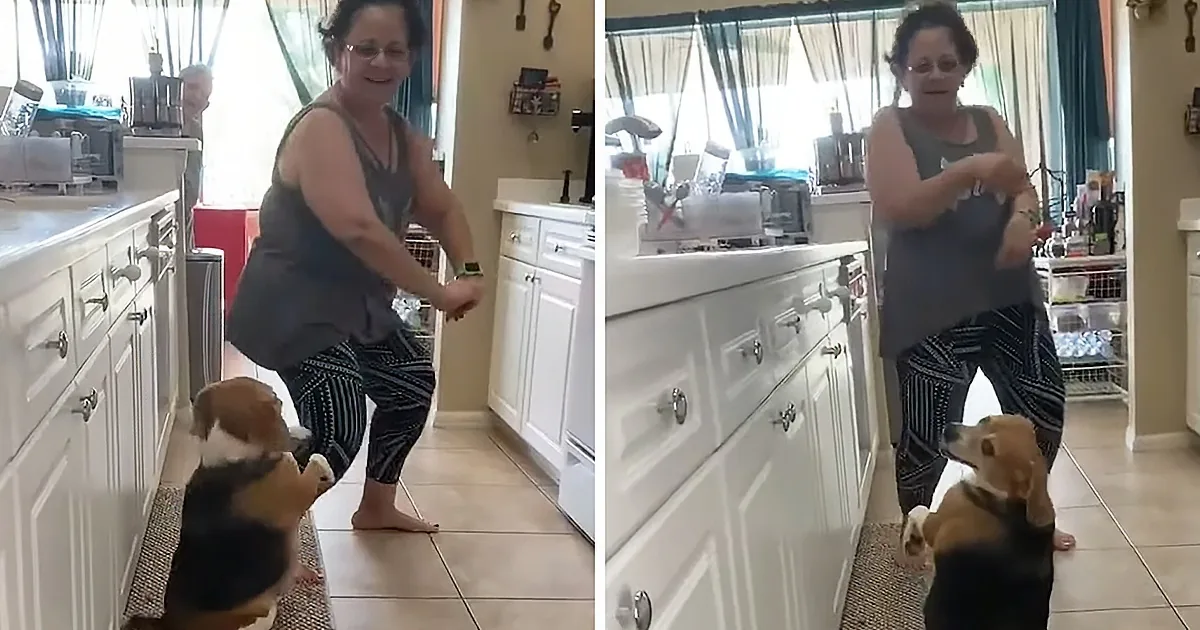 Beagle Busts a Move With Grandma
