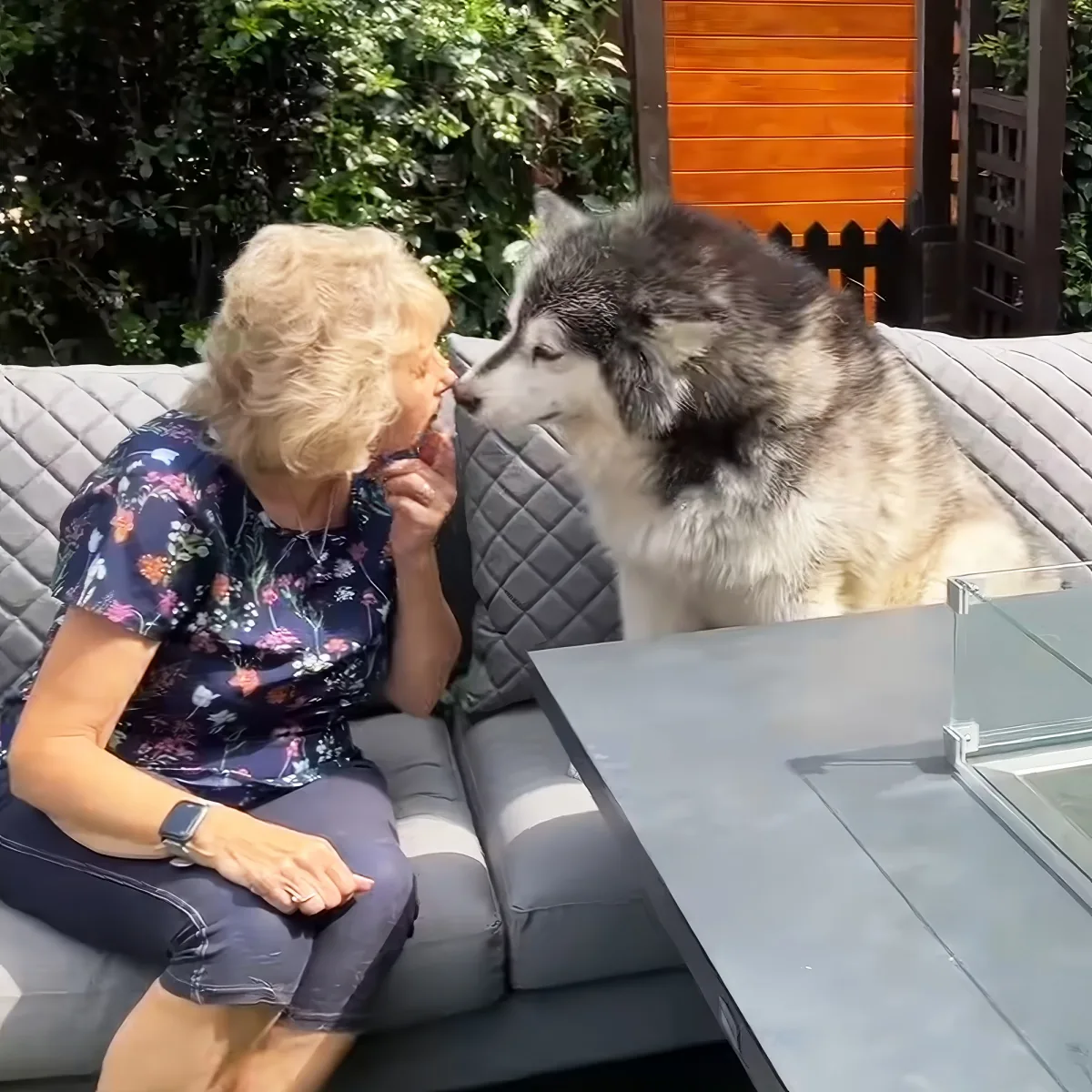 Grandma with adorable Malamutes