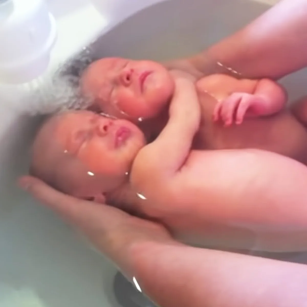 Two newborn babies are being bathed in a white tub by gentle hands.