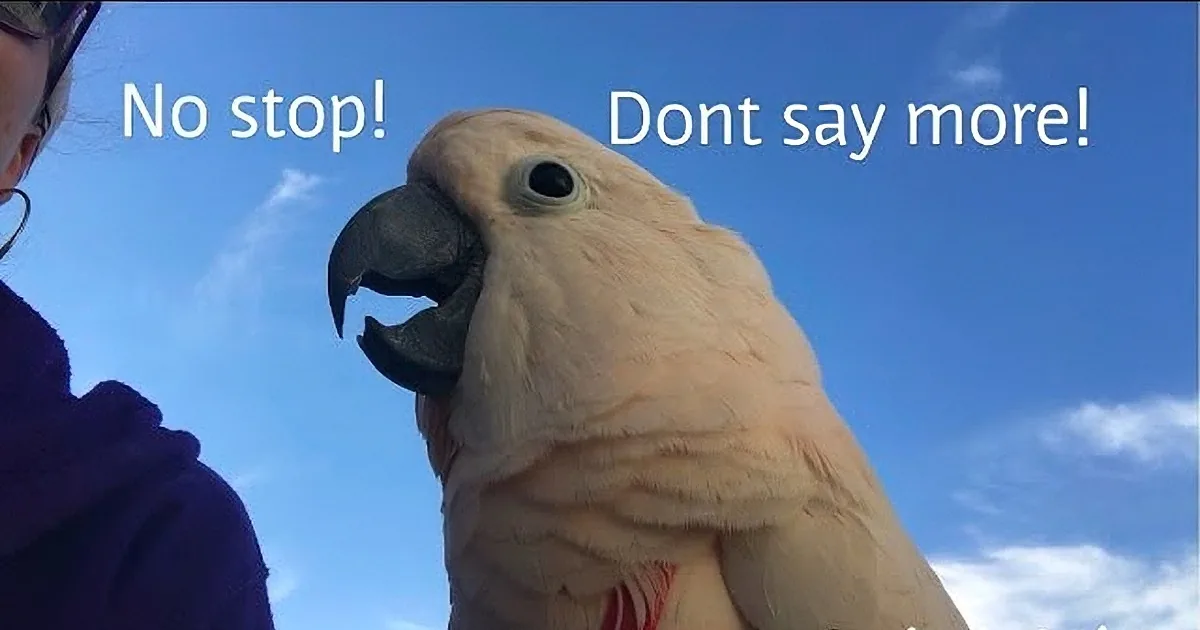 Rescued Talking Parrot Says the Funniest Things