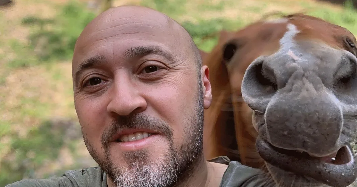 Almost Blind Horse Obsessed With Man''s Shining Bald Head