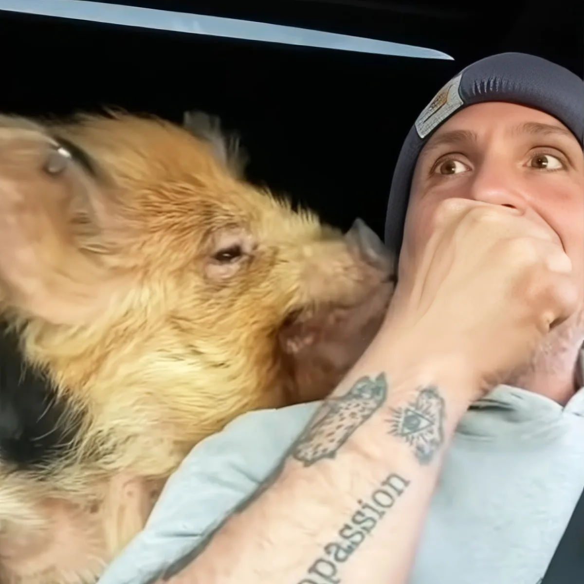 A man holds a small, fluffy dog with a tattooed arm, both looking upwards.