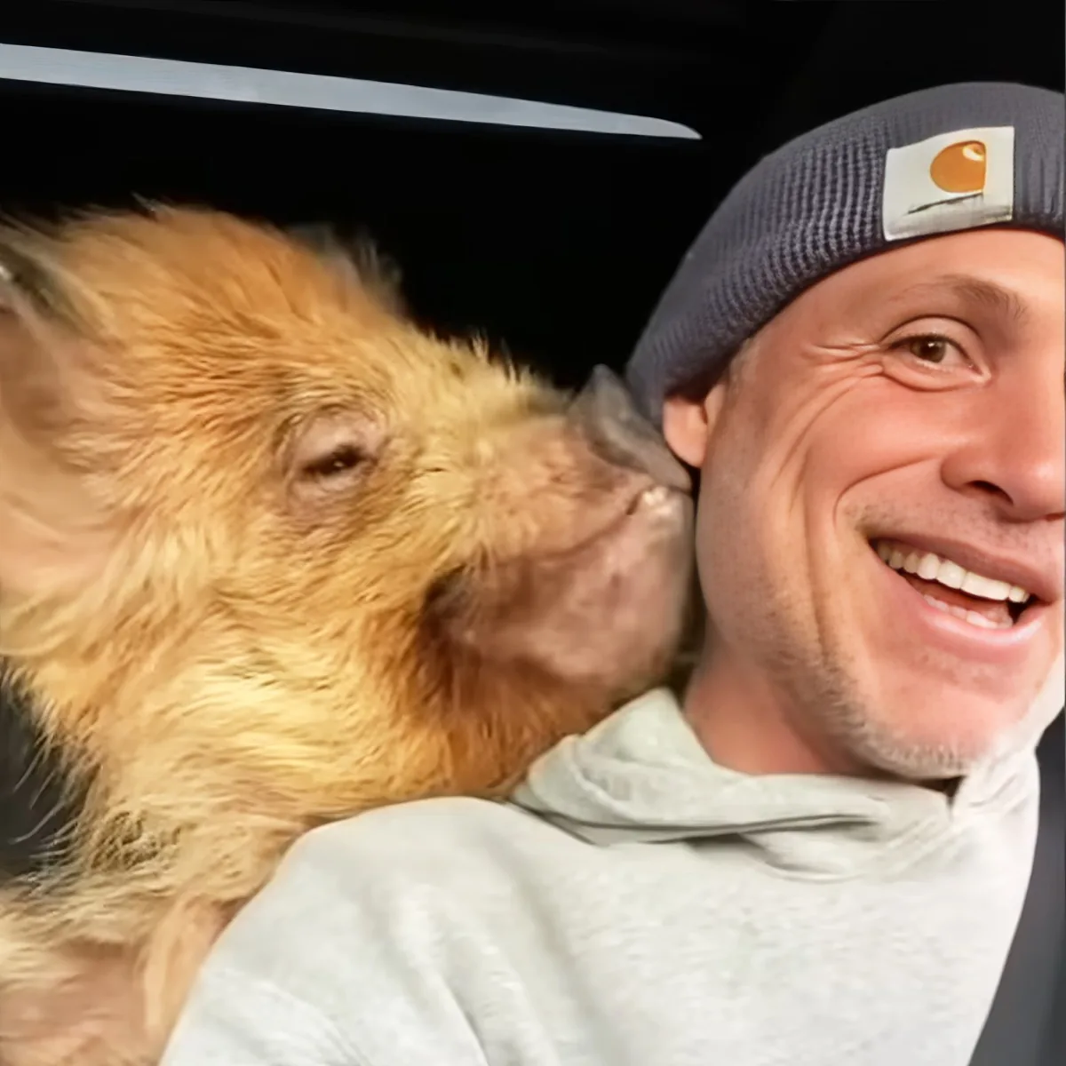A man wearing a Carhartt hat smiles as a dog licks his cheek.