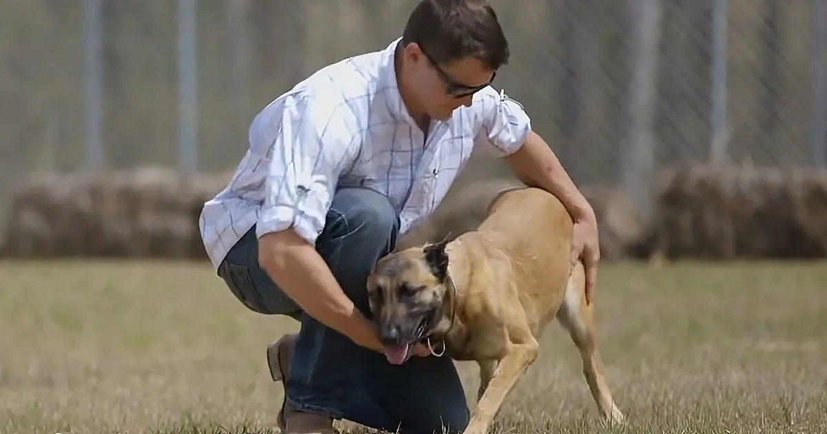 Tenacious Sergeant Adopts Retired Military Dog Against All Odds