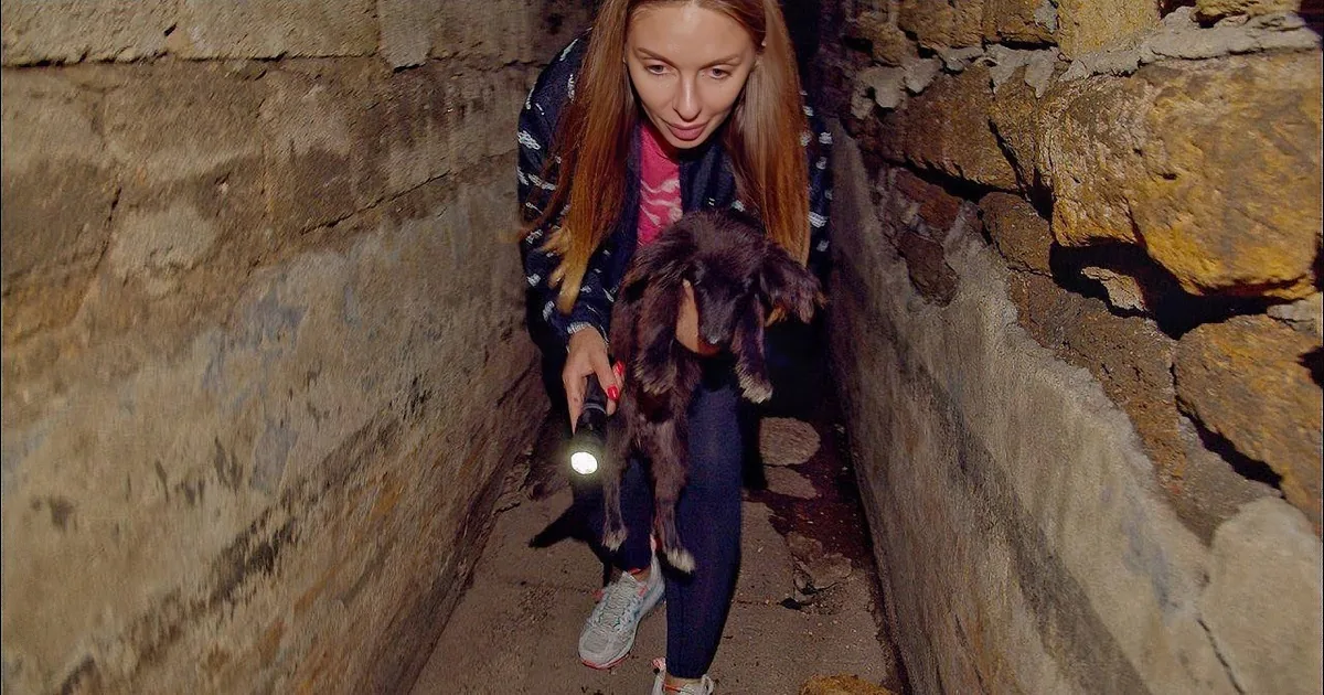 Sweet Stray Puppy Rescued by Kind and Caring Woman