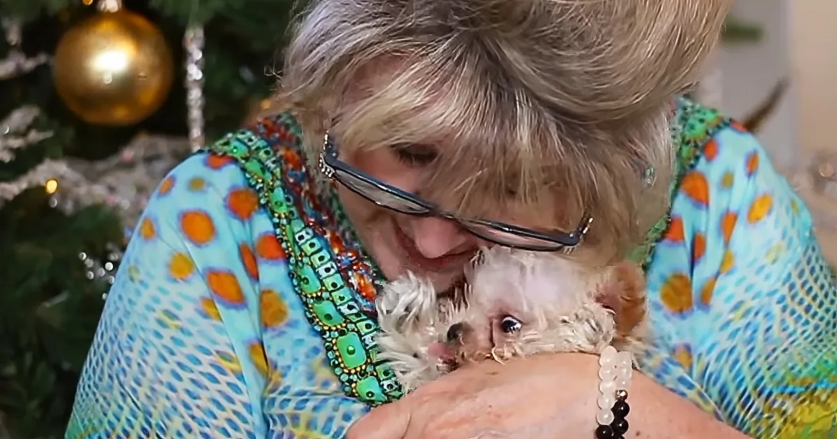 Kind-Hearted Woman Adopts Tiny Dog With Special Needs