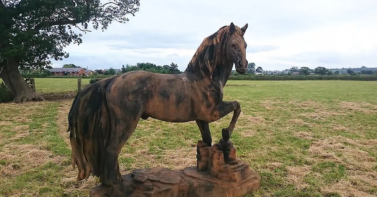 Man Turns Oak Tree Trunk Into Life-Like Horse in Mesmerizing Timelapse
