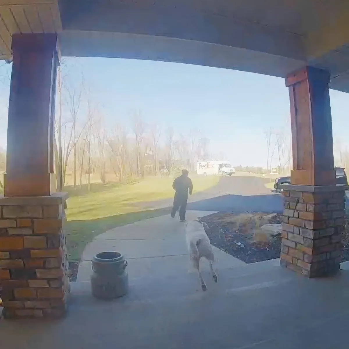 A dog runs excitedly towards a person on a porch, with a FedEx truck visible in the background.