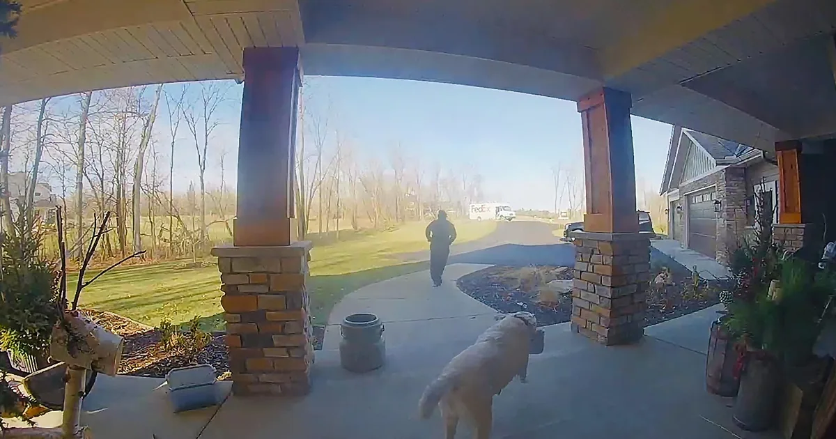 A dog stands on a porch, looking down the driveway where a person walks away.