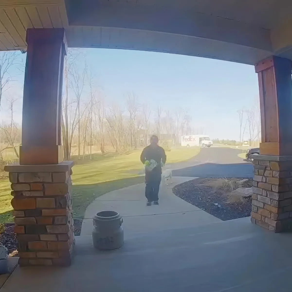 A person walks on a driveway carrying groceries, with a dog beside them, and a FedEx truck in the background.