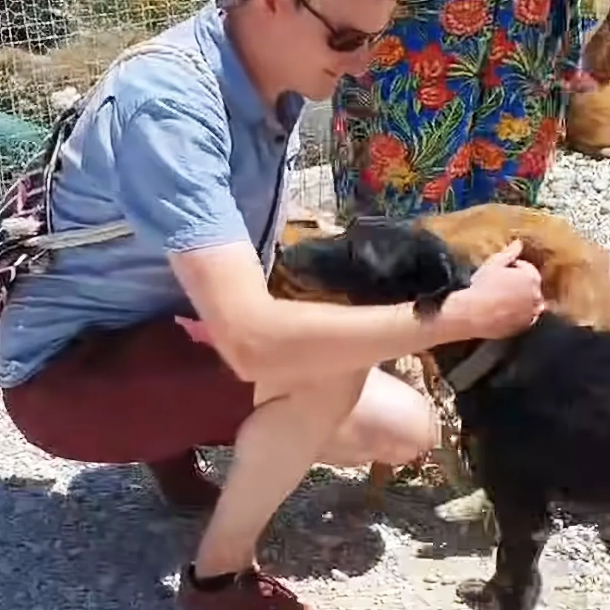 A man in a denim shirt and shorts is petting a small dog with a black and brown coat.