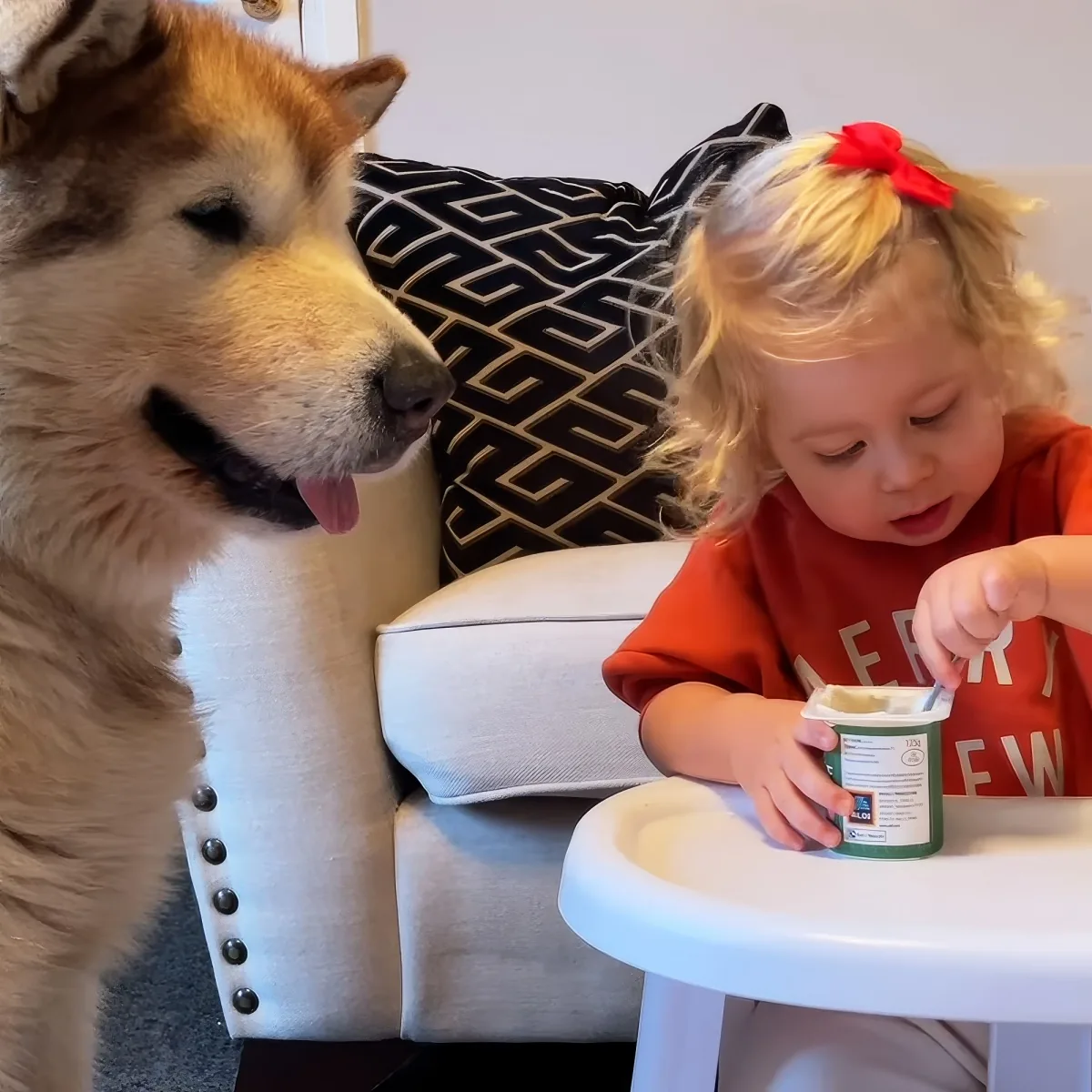 Baby with dog