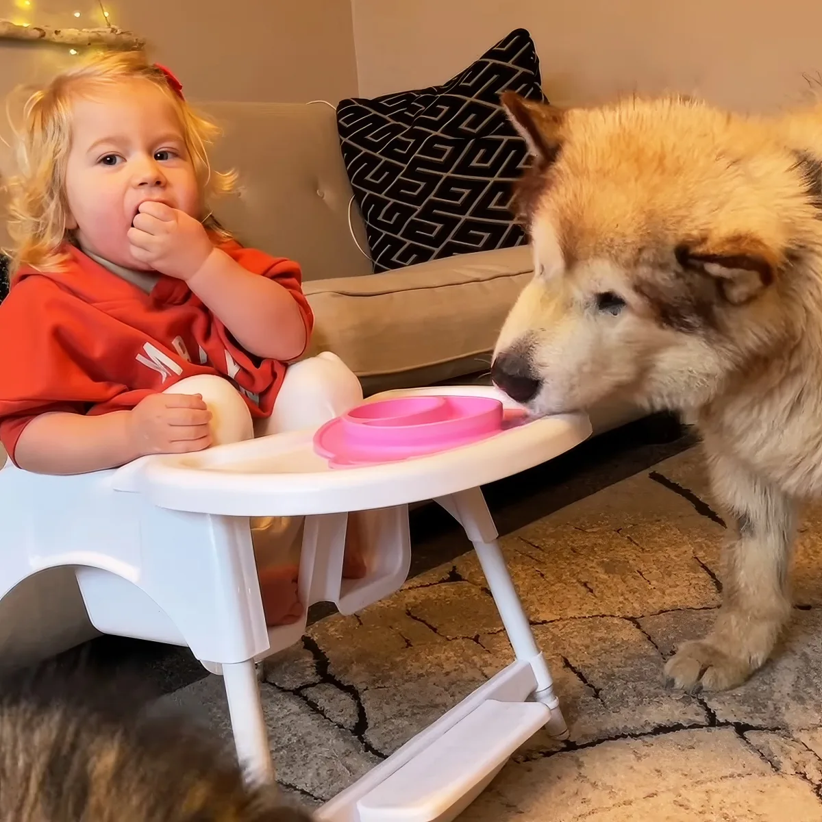 Baby with dog