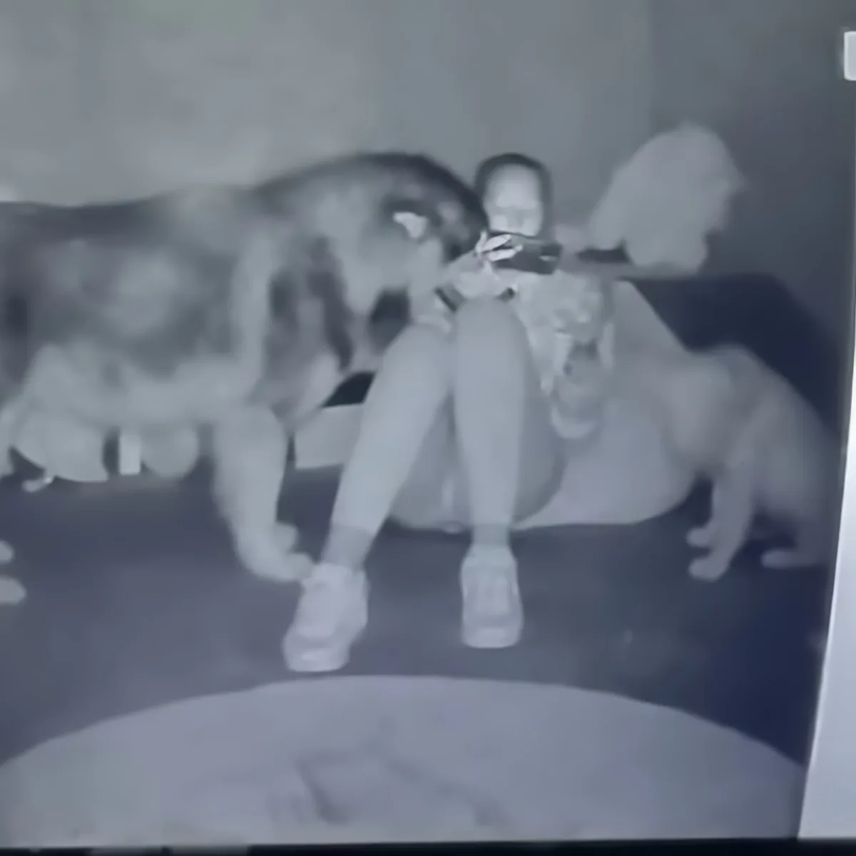 Dog with baby