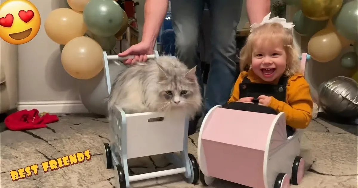 Adorable Little Girl and Cat Are Like Peas in a Pod