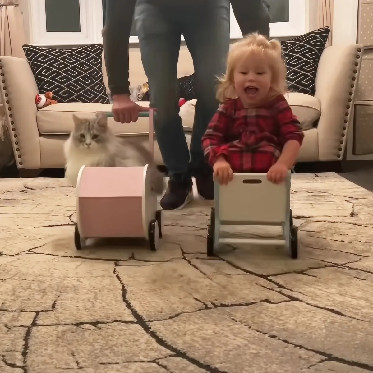 Little girl and cat