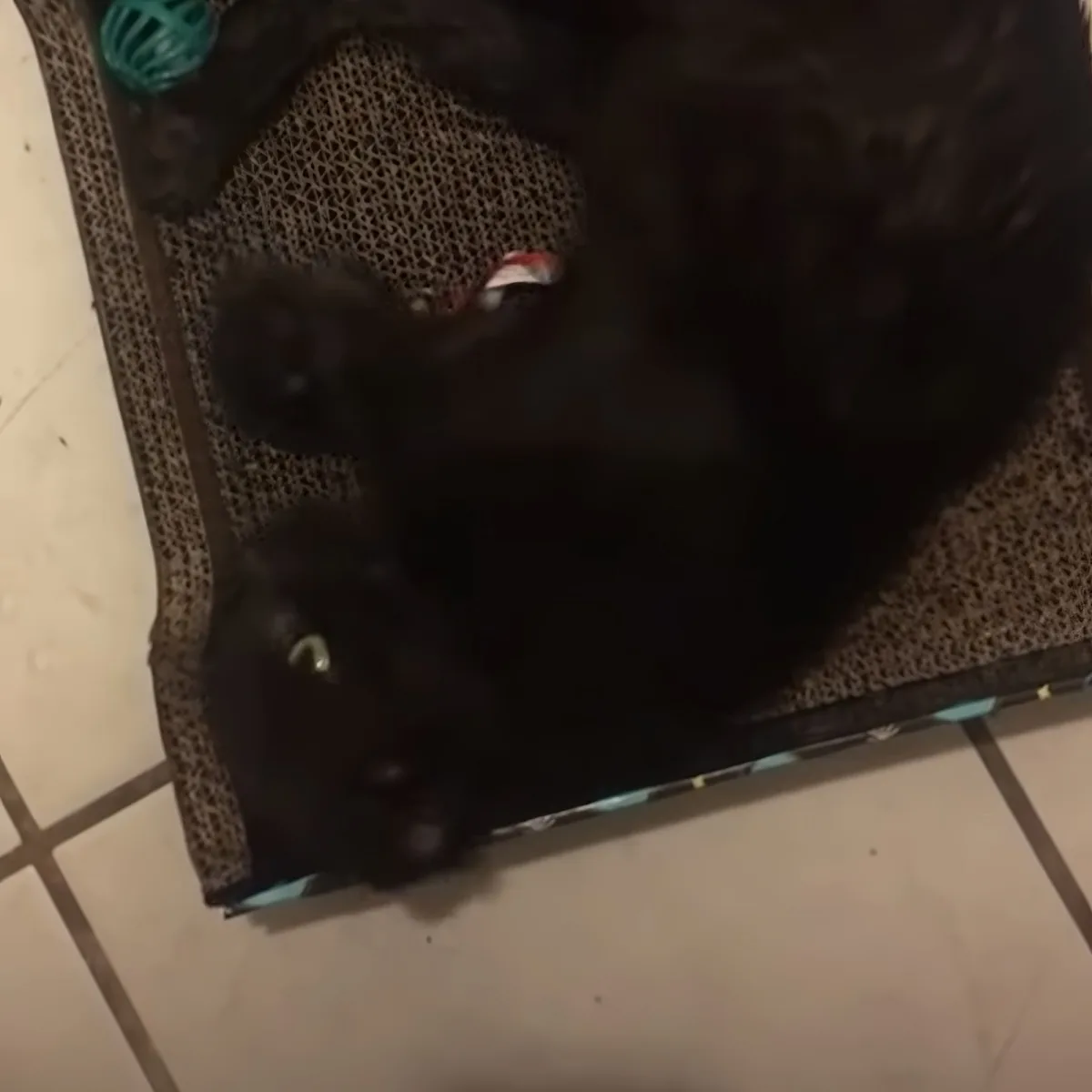 A black cat is lying on a textured mat, partially obscured by its own body.