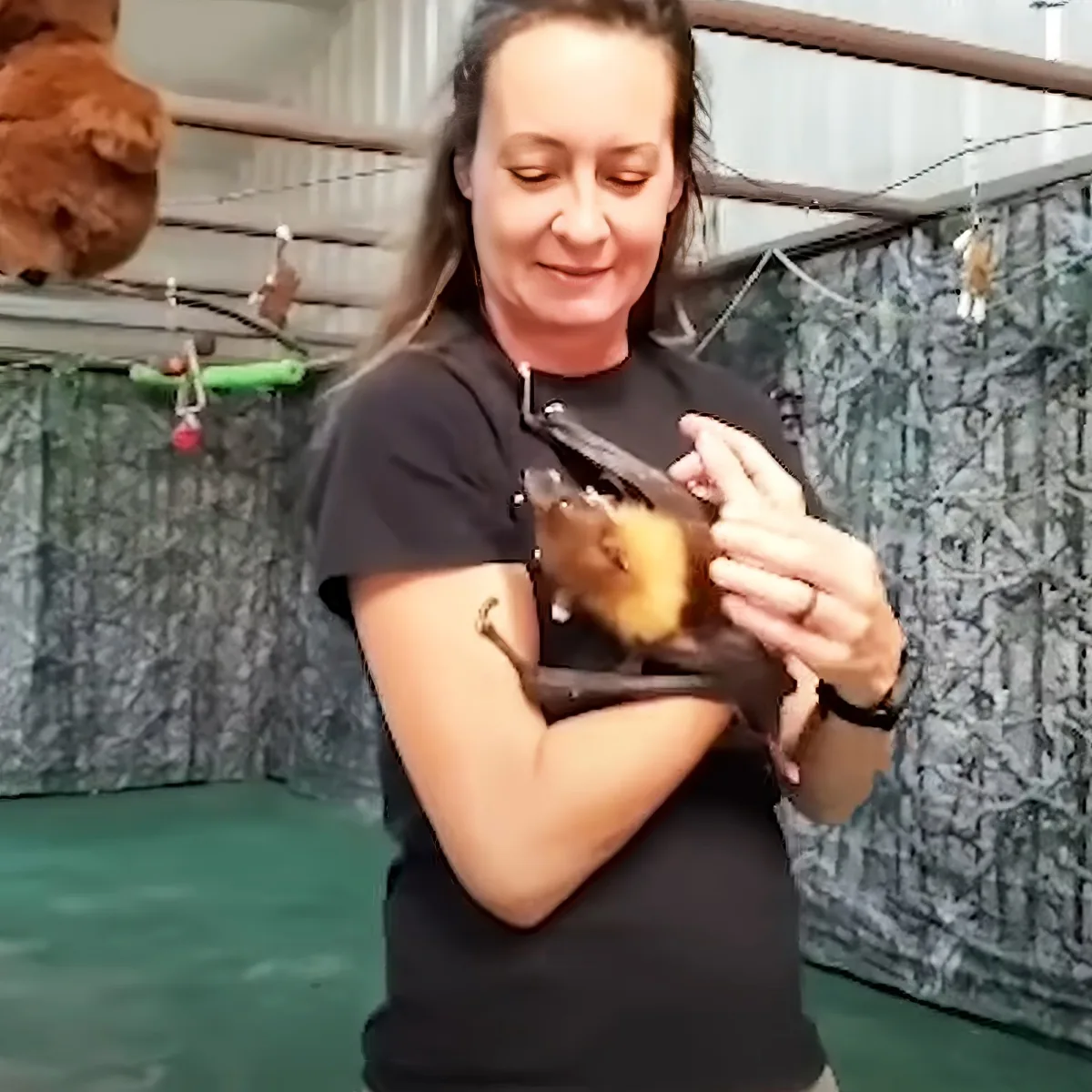 A woman holds a small bat with a yellowish belly, smiling in a setting with a green wall and hanging objects.