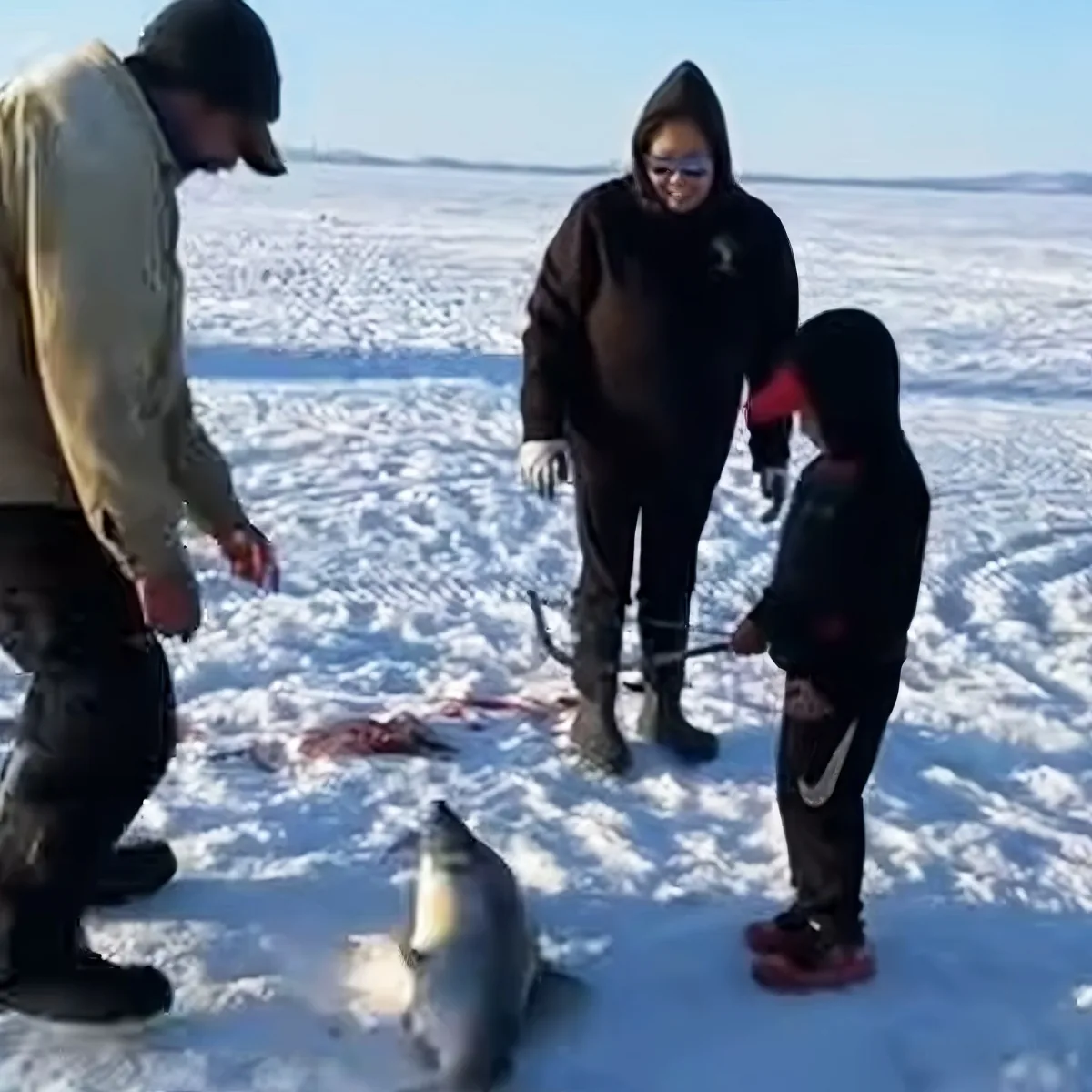 Boy catching fish
