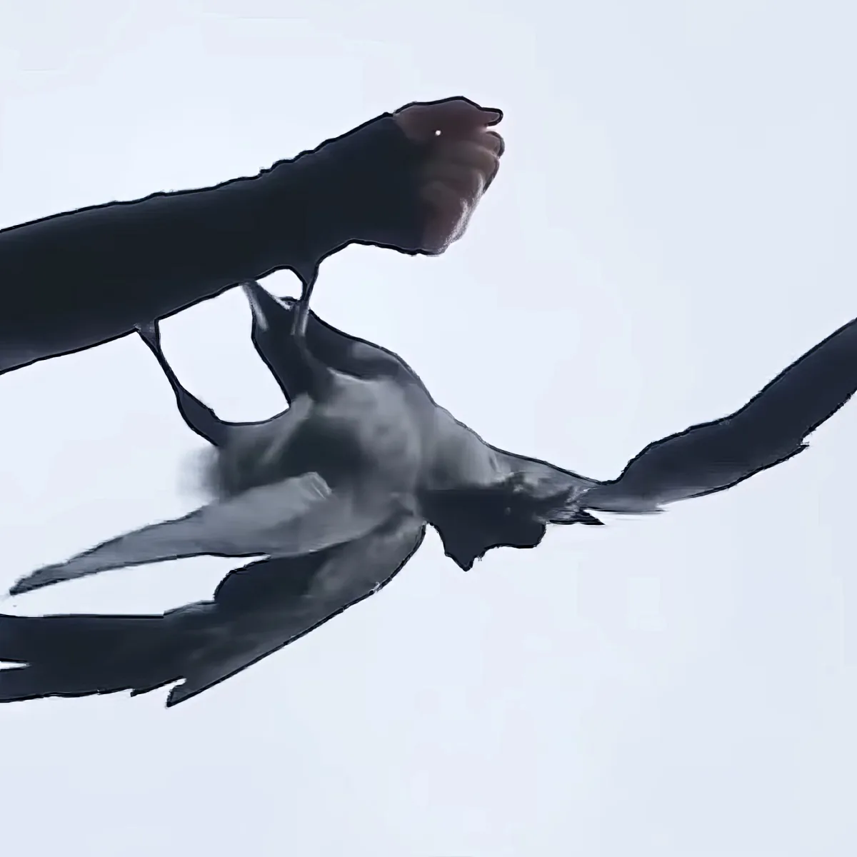 A person in a black suit is mid-air, arms outstretched, with a white background.