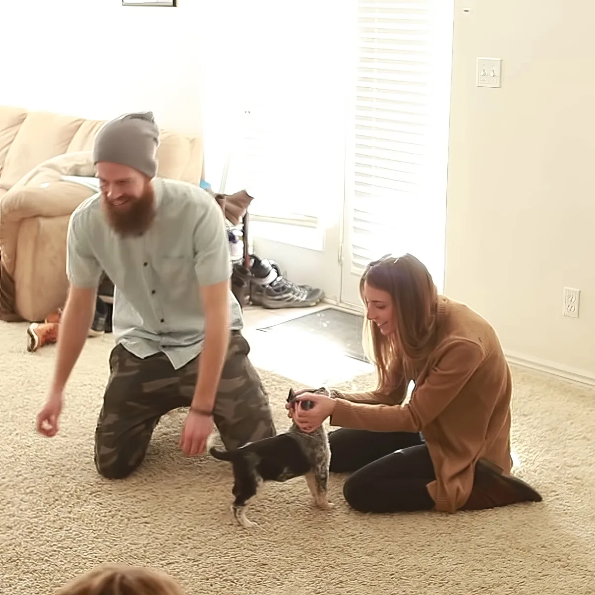 Couple with puppies