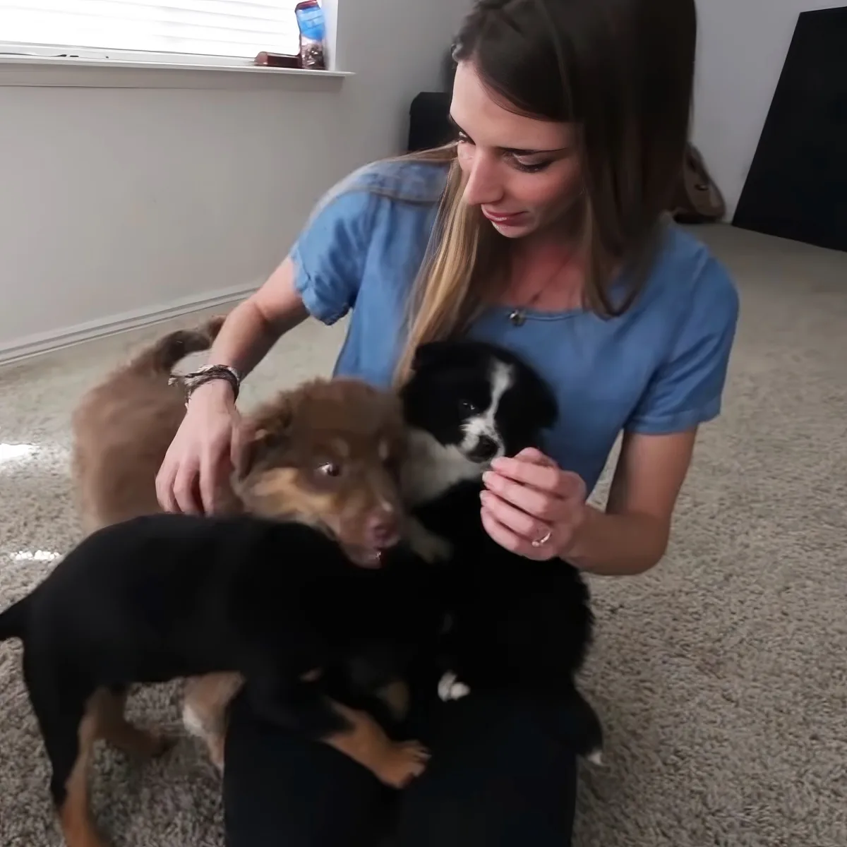 Woman and puppies
