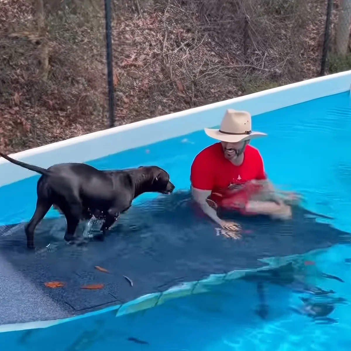 A man in a red shirt and cowboy hat is in a pool, interacting with a black dog.