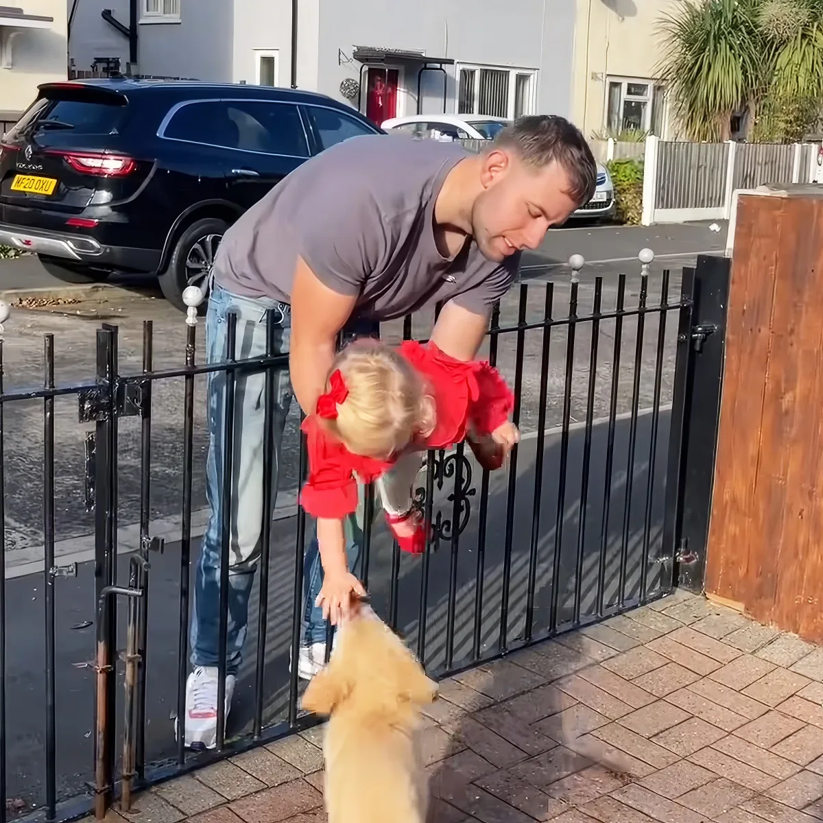 Kid with dogs