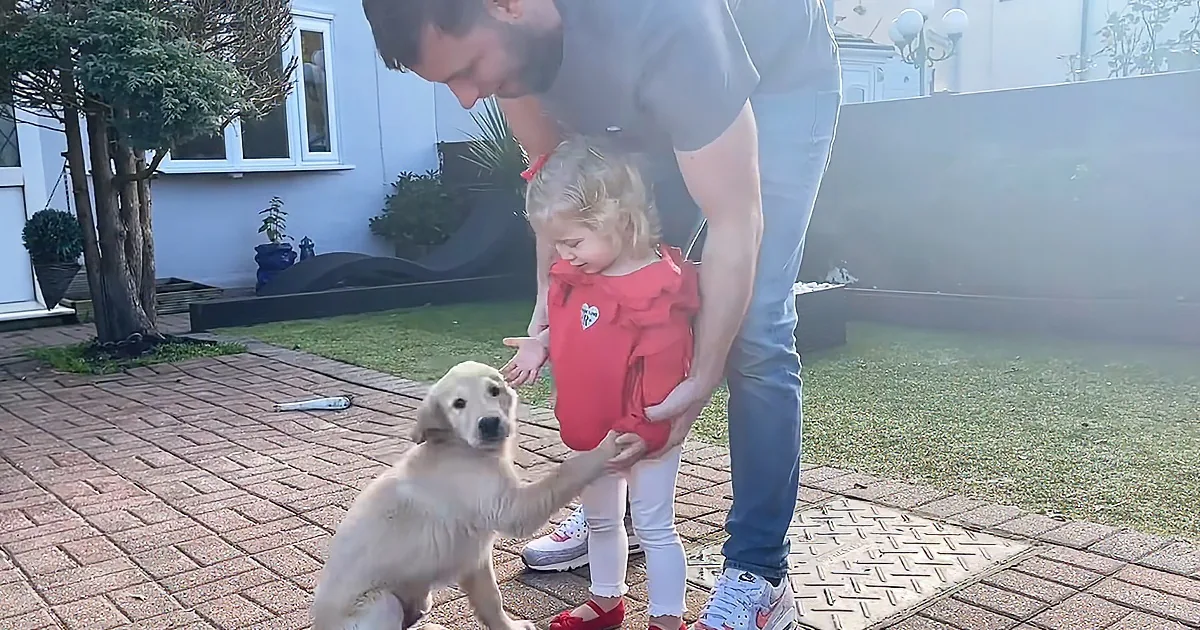 Baby Tries to Train Golden Retriever Pup and the Results Are Hilarious