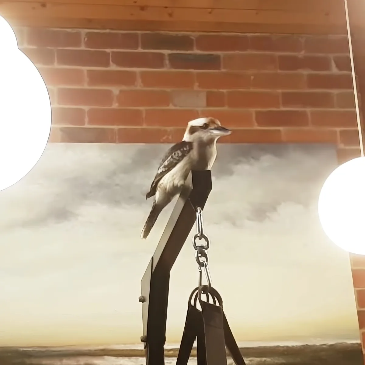A kookaburra perches on a swing, with a brick wall and a cloudy sky in the background.
