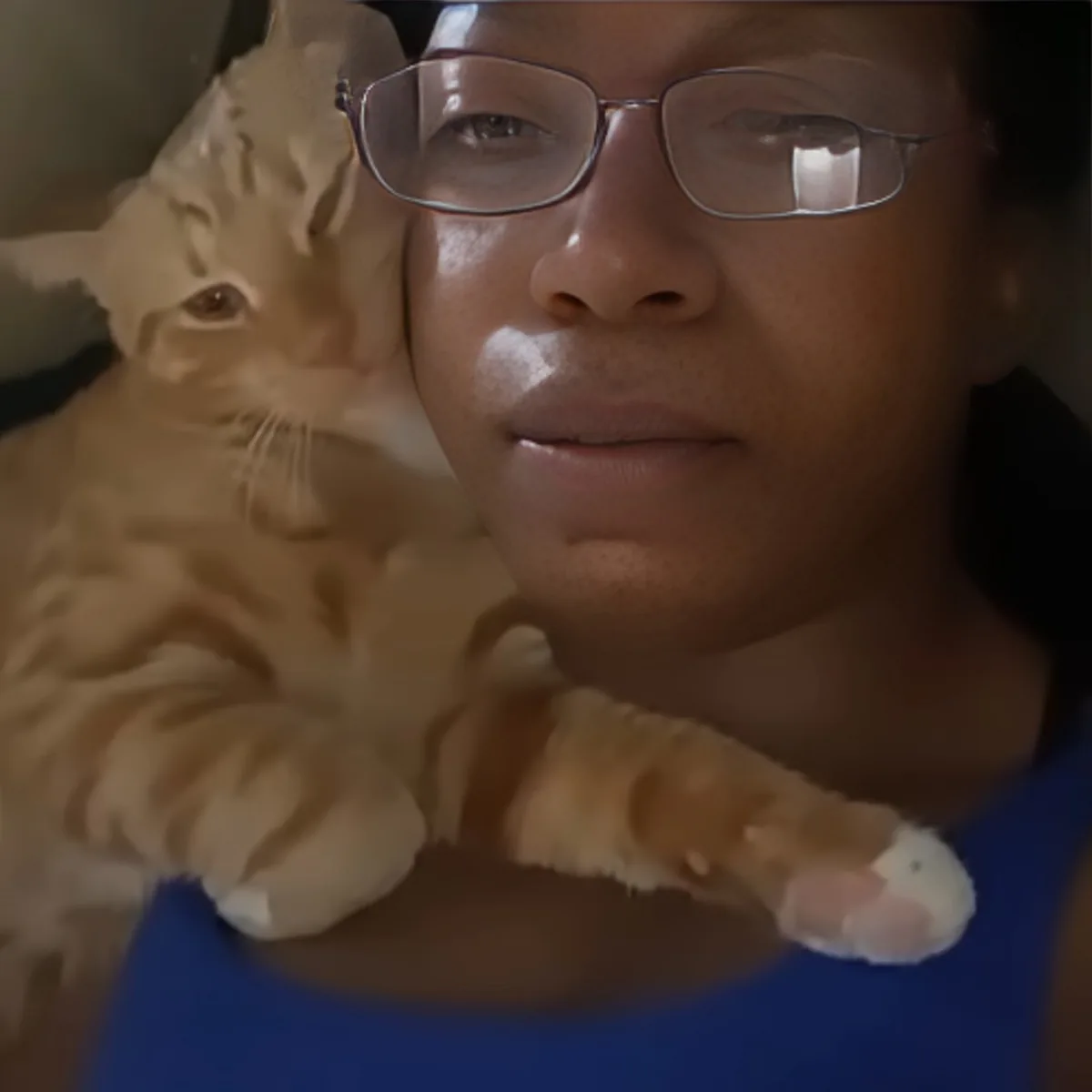 Kitten and mom