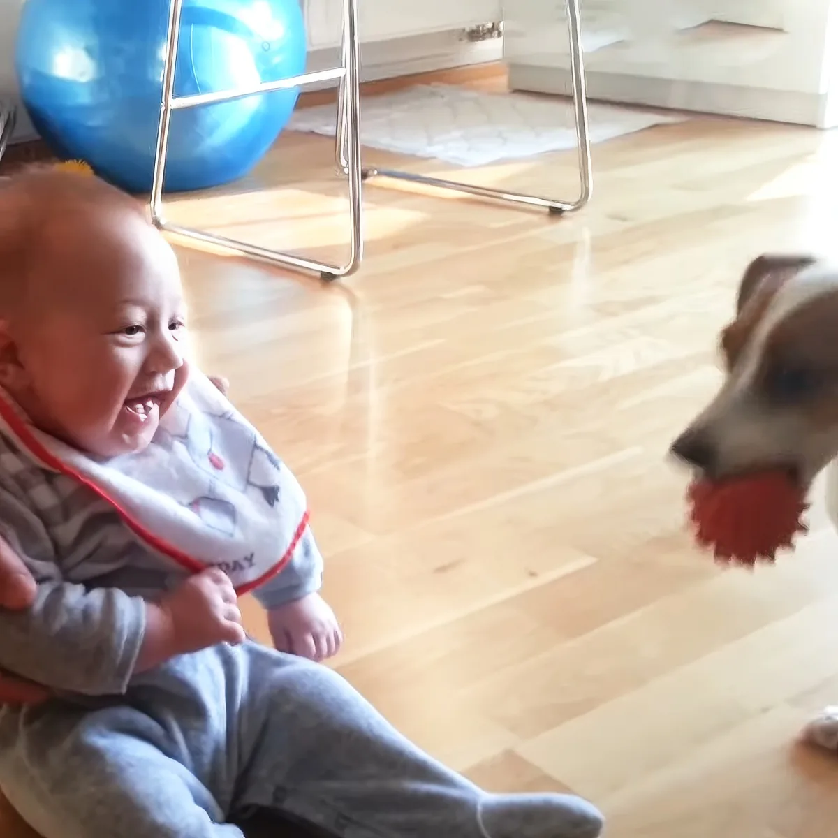 Baby and dog