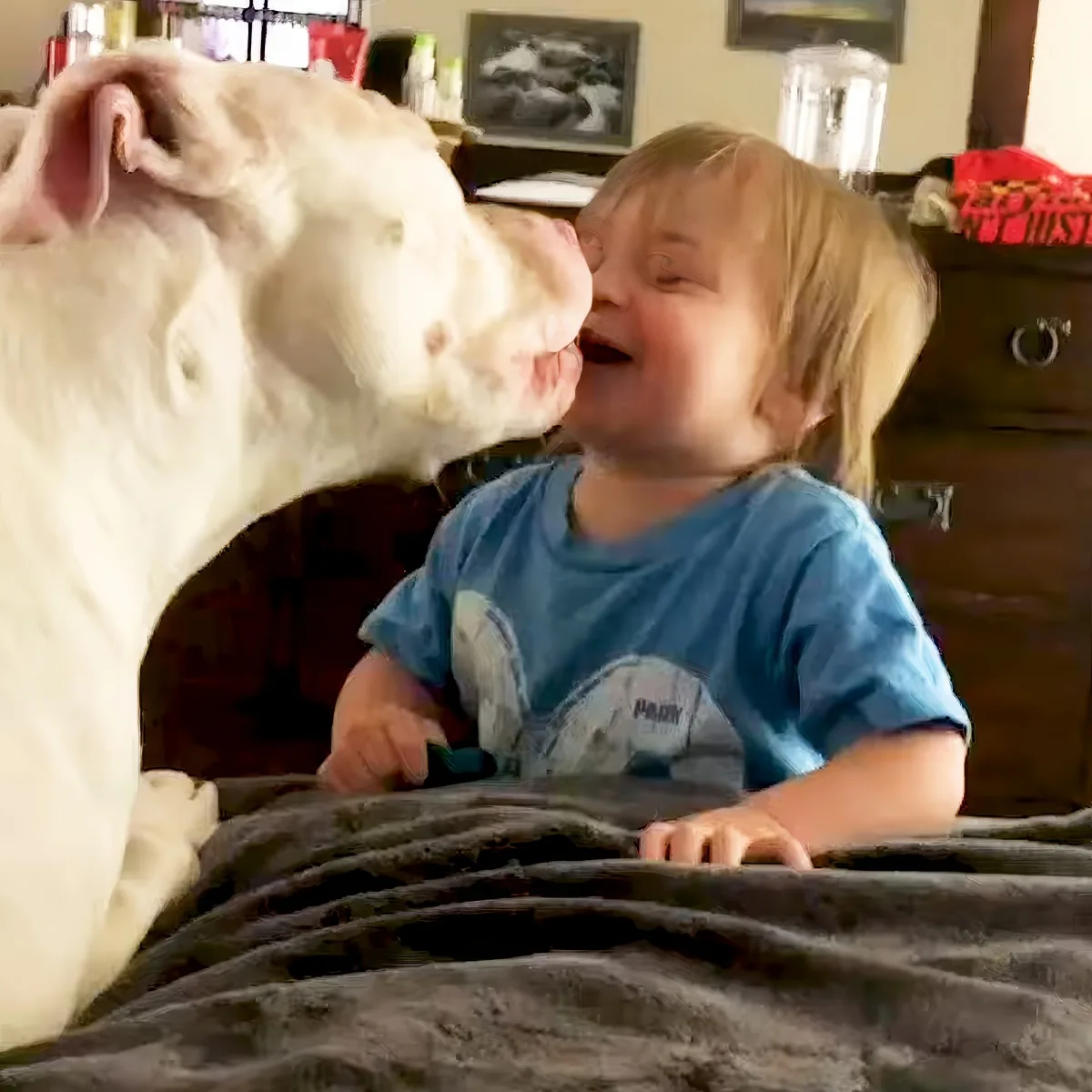 Baby and dog