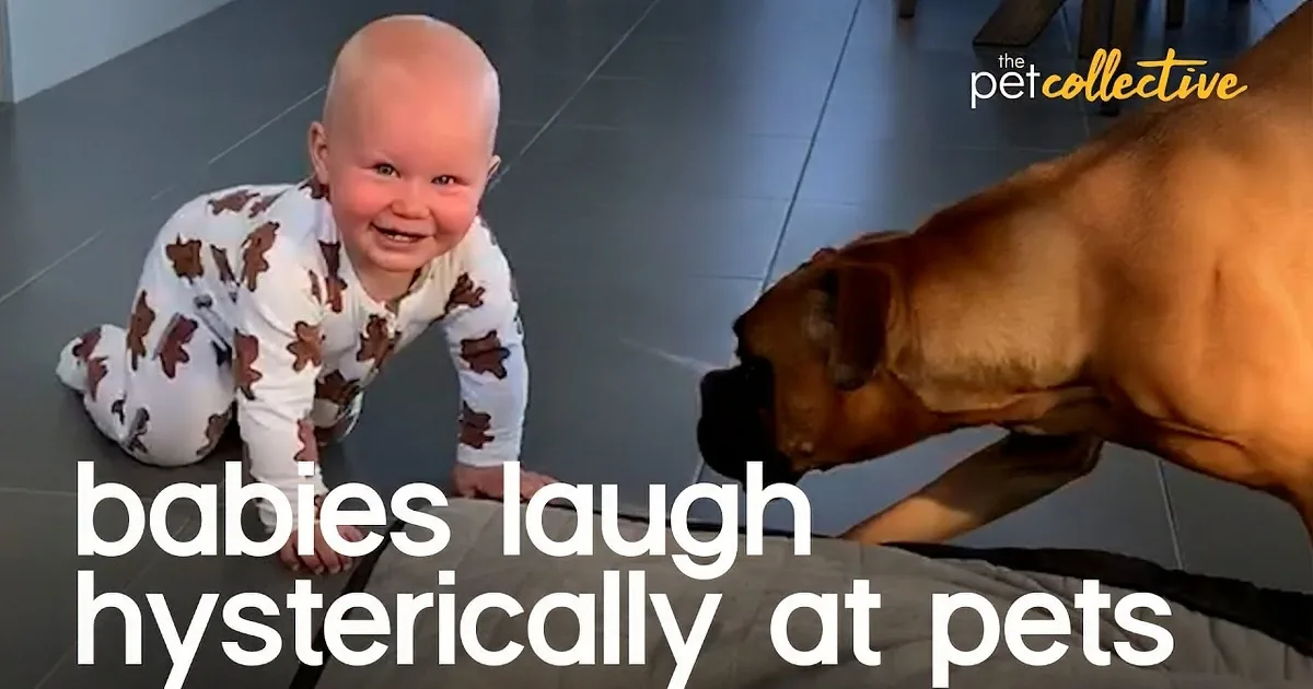 Babies Laugh Hysterically as Dogs Do the Cutest Things