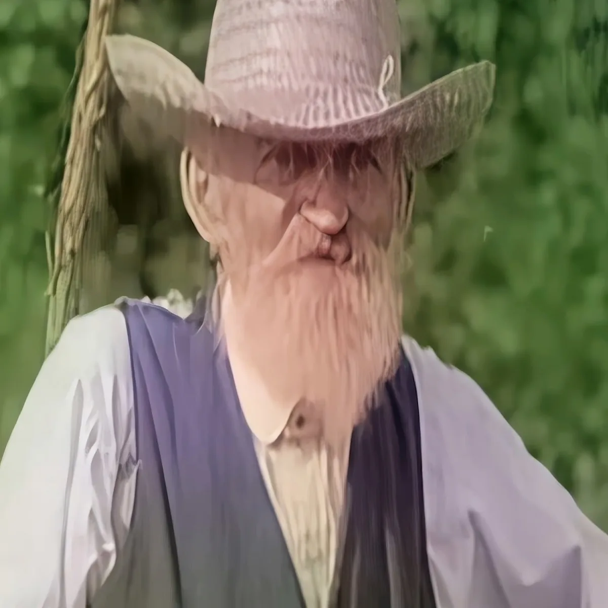 An elderly man with a long white beard and a straw hat, wearing a purple vest and white shirt, stands outdoors with...