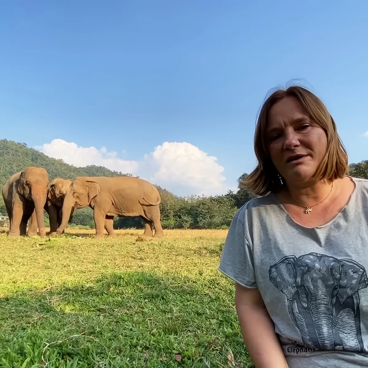 Marina and her elephant friends