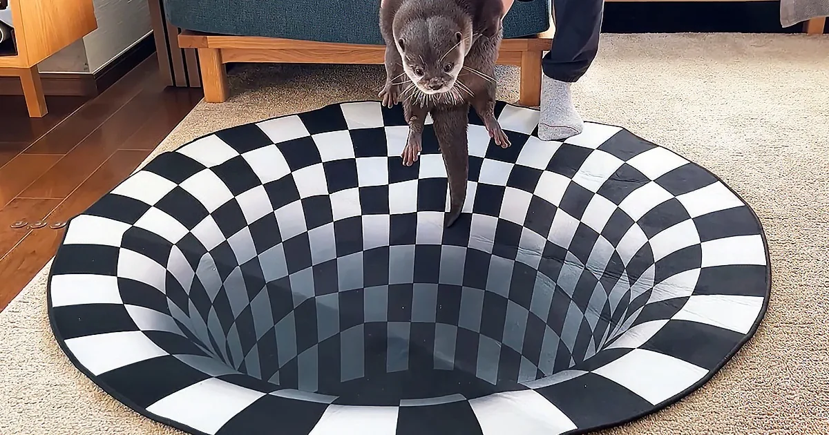 Two Adorable Otters Bamboozled by Optical Illusion Rug