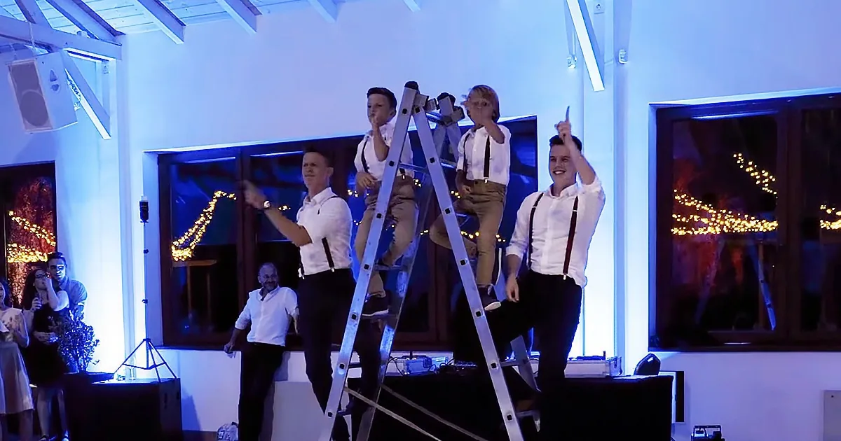 Brothers Choreograph Epic Surprise Wedding Dance on Ladder.
