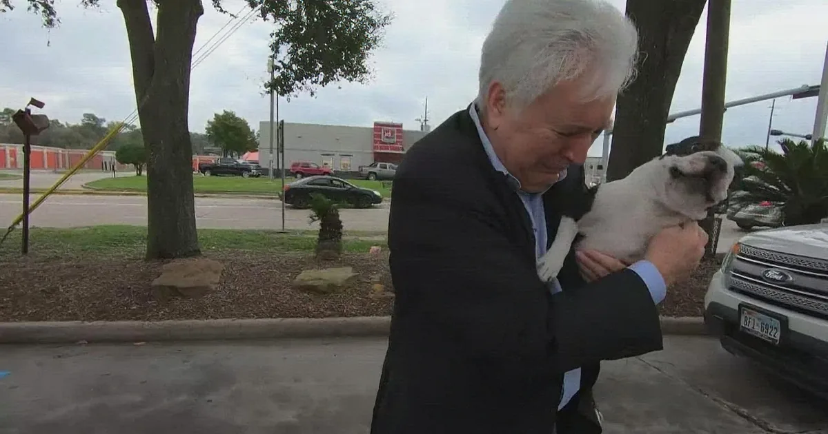 A man in a suit holds a small dog, petting its head, with a parking lot and trees in the background.