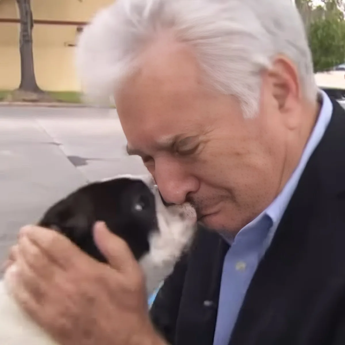 Tiny Terrier with owner