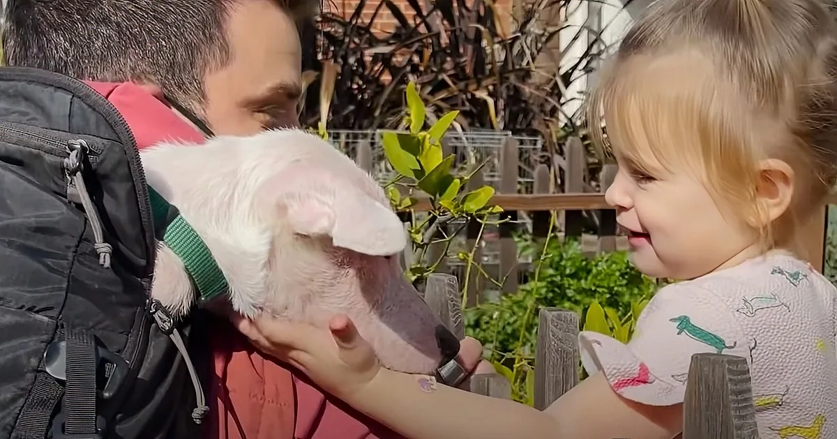 2-Year-Old Girl Becomes Best Buds With Deaf Puppy