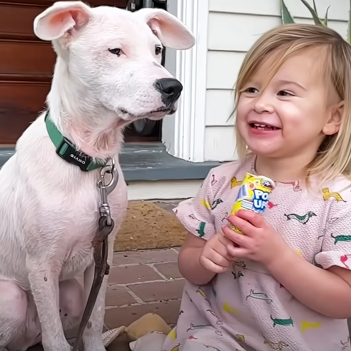 Toddler with deaf puppy
